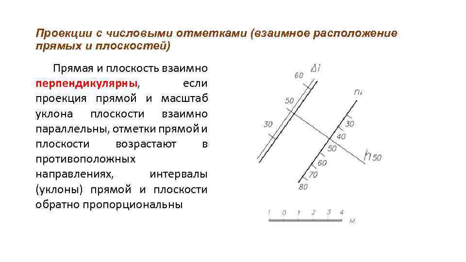 Проекции с числовыми отметками (взаимное расположение прямых и плоскостей) Прямая и плоскость взаимно перпендикулярны,