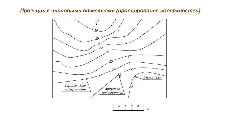 Проекции с числовыми отметками (проецирование поверхностей) 