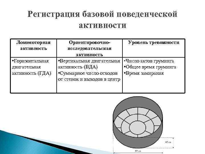 Регистрация базовой поведенческой активности Локомоторная активность • Горизонтальная двигательная активность (ГДА) Ориентировочно. Уровень тревожности