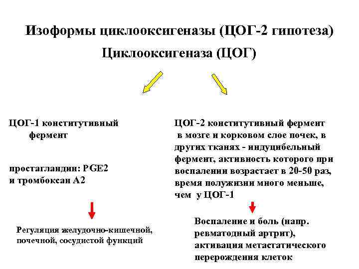 Изоформы циклооксигеназы (ЦОГ-2 гипотеза) Циклооксигеназа (ЦОГ) ЦОГ-1 конститутивный фермент простагландин: PGE 2 и тромбоксан