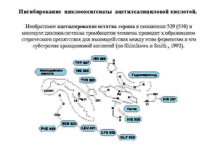 Ингибирование циклооксигеназы ацетилсалициловой кислотой. Необратимое ацетилирование остатка серина в положении 529 (530) в молекуле