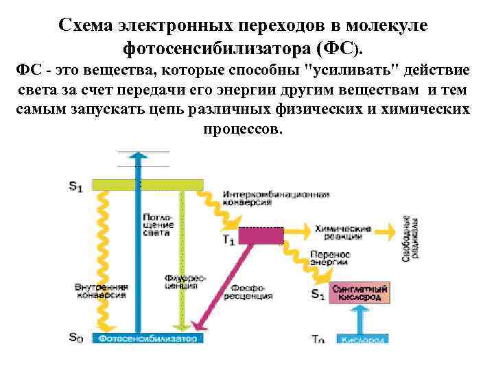 Схема электронных переходов в молекуле фотосенсибилизатора (ФС). ФС - это вещества, которые способны "усиливать"