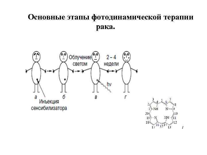 Основные этапы фотодинамической терапии рака. 