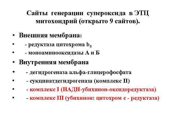 Сайты генерации супероксида в ЭТЦ митохондрий (открыто 9 сайтов). • Внешняя мембрана: • -