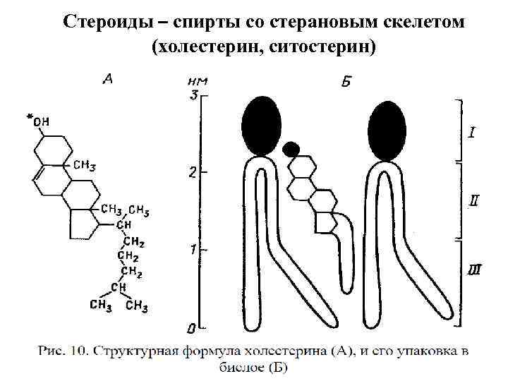 Стероиды – спирты со стерановым скелетом (холестерин, ситостерин) 