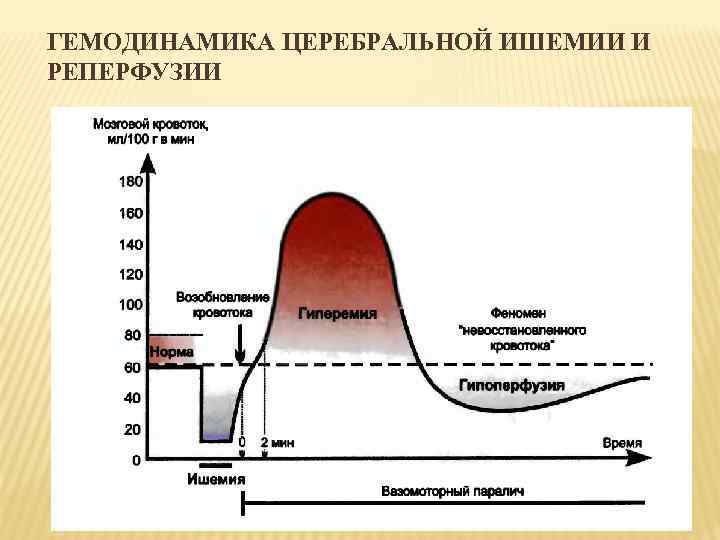 ГЕМОДИНАМИКА ЦЕРЕБРАЛЬНОЙ ИШЕМИИ И РЕПЕРФУЗИИ 