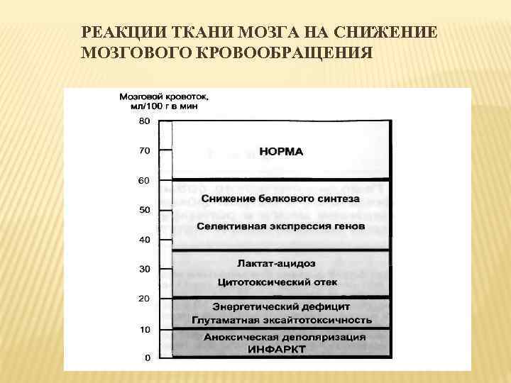 РЕАКЦИИ ТКАНИ МОЗГА НА СНИЖЕНИЕ МОЗГОВОГО КРОВООБРАЩЕНИЯ 