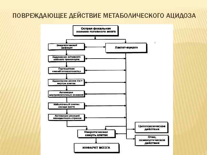 ПОВРЕЖДАЮЩЕЕ ДЕЙСТВИЕ МЕТАБОЛИЧЕСКОГО АЦИДОЗА 
