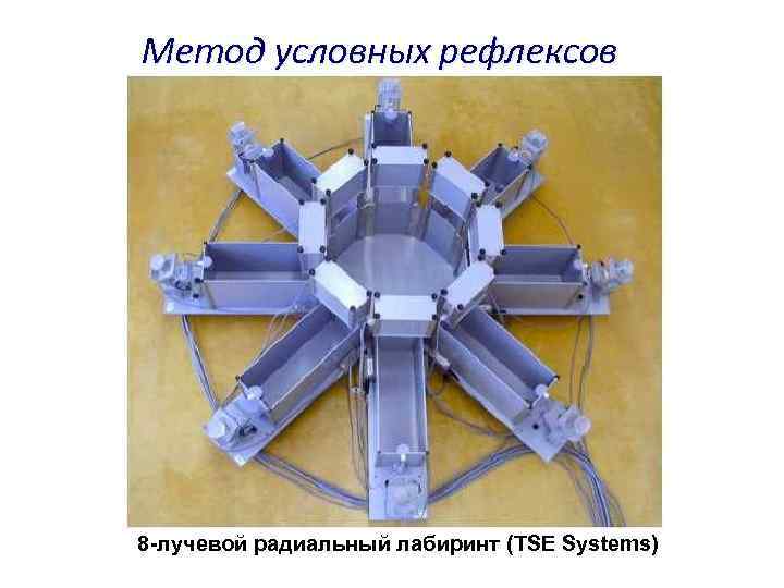 Метод условных рефлексов 8 -лучевой радиальный лабиринт (TSE Systems) 