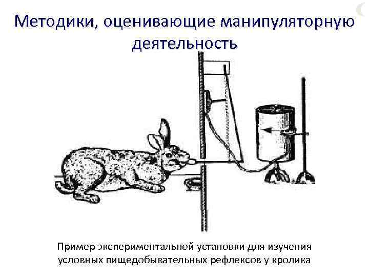 Методики, оценивающие манипуляторную деятельность Пример экспериментальной установки для изучения условных пищедобывательных рефлексов у кролика