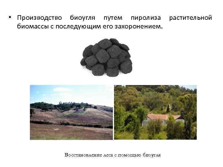  • Производство биоугля путем пиролиза растительной биомассы с последующим его захоронением. Восстановление леса