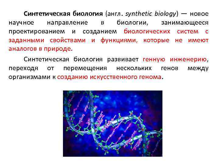 Синтетическая биология (англ. synthetic biology) — новое научное направление в биологии, занимающееся проектированием и