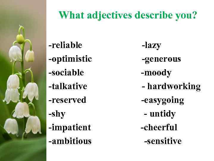 What adjectives describe you? -reliable -lazy -optimistic -generous -sociable -moody -talkative - hardworking -reserved