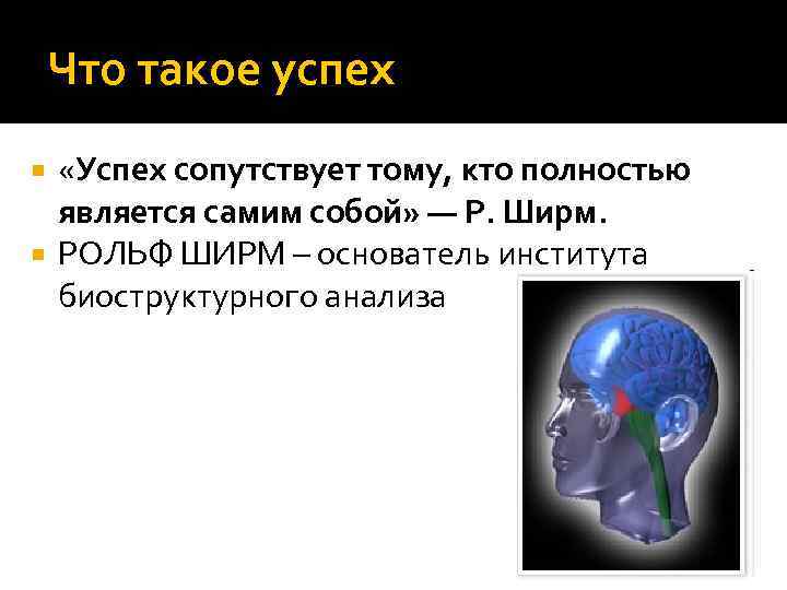 Что такое успех «Успех сопутствует тому, кто полностью является самим собой» — Р. Ширм.