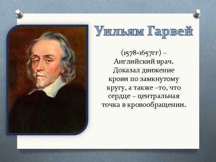 Уильям Гарвей (1578 -1657 гг) – Английский врач. Доказал движение крови по замкнутому кругу,