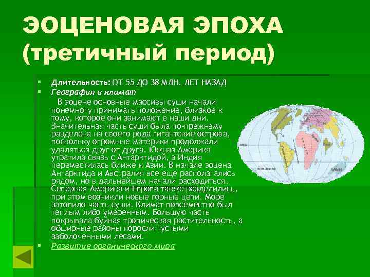 ЭОЦЕНОВАЯ ЭПОХА (третичный период) § § § Длительность: ОТ 55 ДО 38 МЛН. ЛЕТ