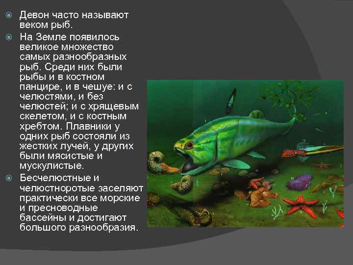 Девон часто называют веком рыб. На Земле появилось великое множество самых разнообразных рыб. Среди