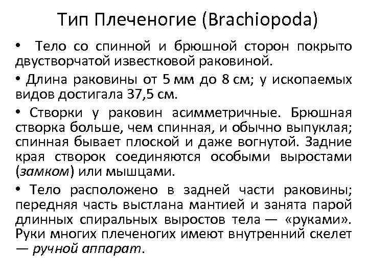 Тип Плеченогие (Brachiopoda) • Тело со спинной и брюшной сторон покрыто двустворчатой известковой раковиной.