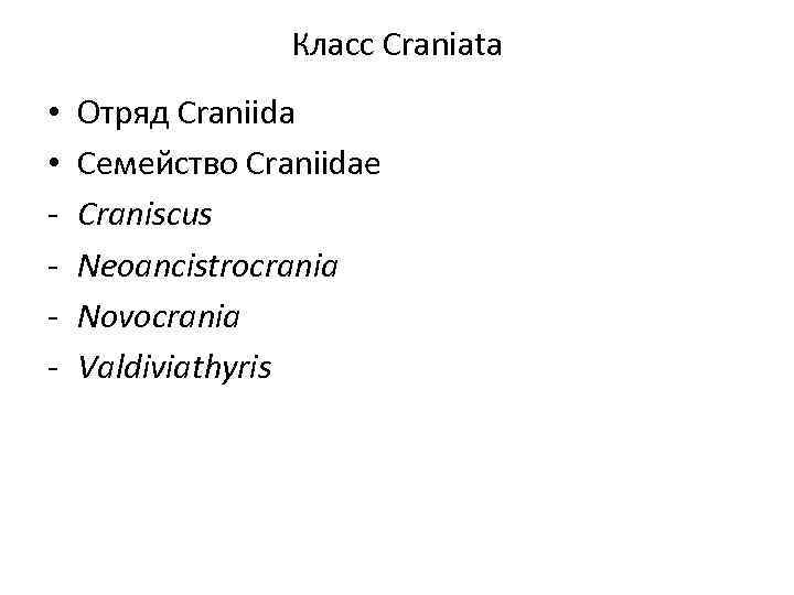 Класс Craniata • • Отряд Craniida Семейство Craniidae Craniscus Neoancistrocrania Novocrania Valdiviathyris 