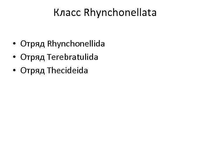 Класс Rhynchonellata • Отряд Rhynchonellida • Отряд Terebratulida • Отряд Thecideida 