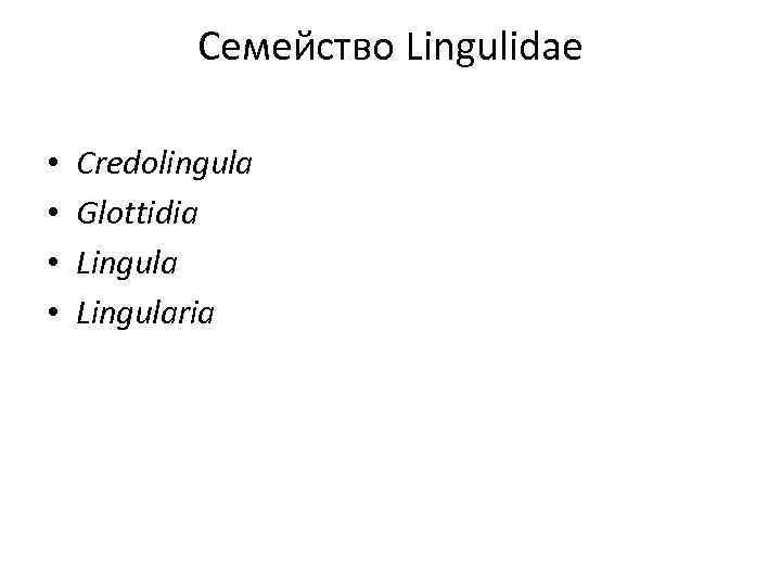 Семейство Lingulidae • • Credolingula Glottidia Lingularia 