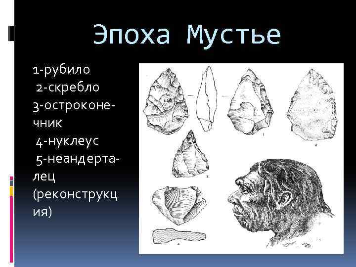 Эпоха Мустье 1 -рубило 2 -скребло 3 -остроконечник 4 -нуклеус 5 -неандерталец (реконструкц ия)