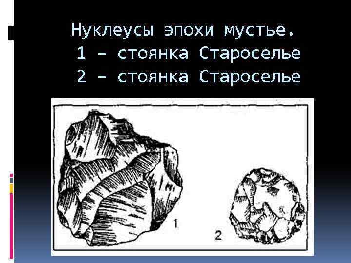 Нуклеусы эпохи мустье. 1 – стоянка Староселье 2 – стоянка Староселье 