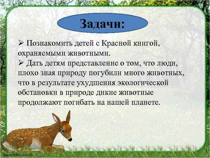  Задачи: Ø Познакомить детей с Красной книгой, охраняемыми животными. Ø Дать детям представление