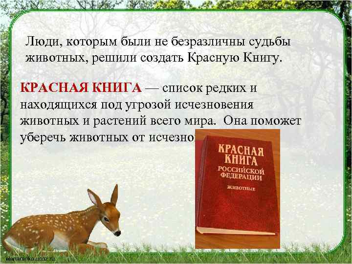 Представьте что вам предложили создать книгу рассказов о животных в серии школьная библиотека проект