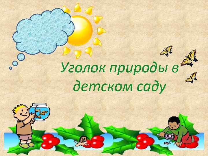 Уголок природы в детском саду 