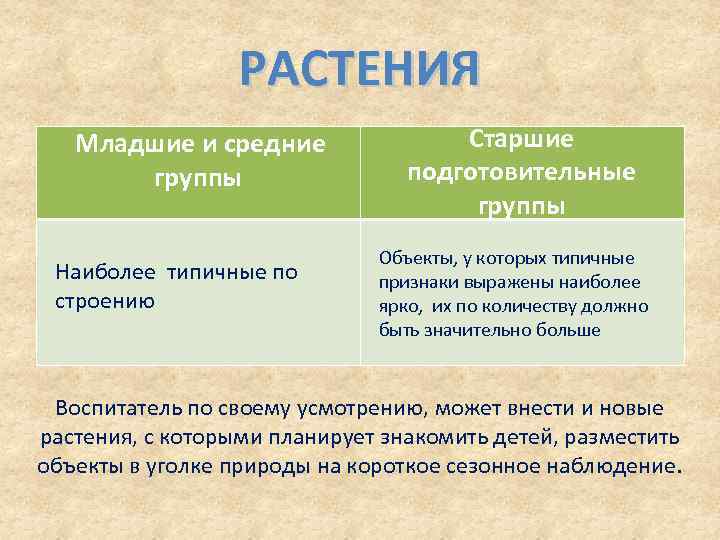 РАСТЕНИЯ Младшие и средние группы Наиболее типичные по строению Старшие подготовительные группы Объекты, у