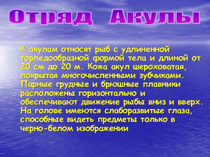 К акулам относят рыб с удлиненной торпедообразной формой тела и длиной от 20 см