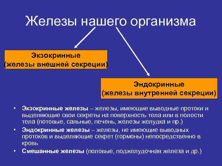 Железы нашего организма Экзокринные (железы внешней секреции) Эндокринные (железы внутренней секреции) • Экзокринные железы