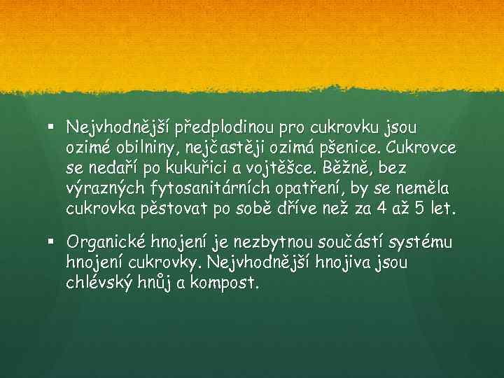 § Nejvhodnější předplodinou pro cukrovku jsou ozimé obilniny, nejčastěji ozimá pšenice. Cukrovce se nedaří