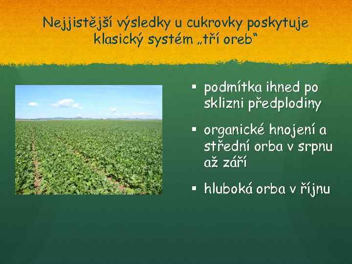 Nejjistější výsledky u cukrovky poskytuje klasický systém „tří oreb“ § podmítka ihned po sklizni