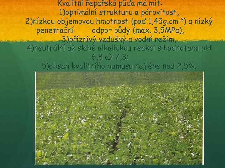 Kvalitní řepařská půda má mít: 1)optimální strukturu a pórovitost, 2)nízkou objemovou hmotnost (pod 1,