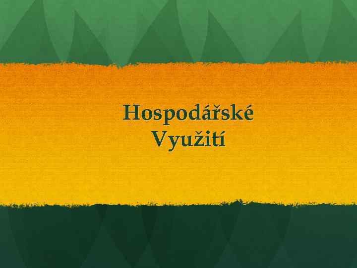 Hospodářské Využití 