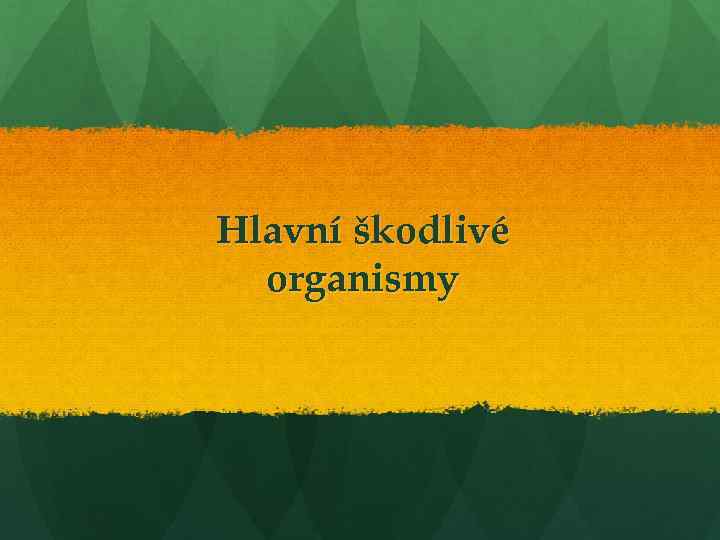 Hlavní škodlivé organismy 