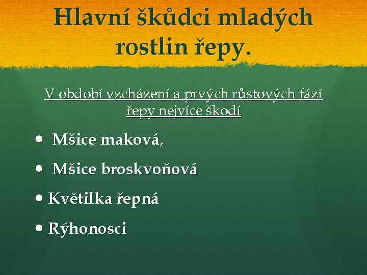 Hlavní škůdci mladých rostlin řepy. V období vzcházení a prvých růstových fází řepy nejvíce