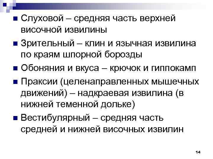 Слуховой – средняя часть верхней височной извилины n Зрительный – клин и язычная извилина