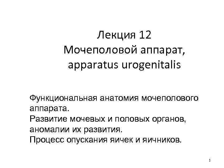 Лекция 12 Мочеполовой аппарат, apparatus urogenitalis Функциональная анатомия мочеполового аппарата. Развитие мочевых и половых