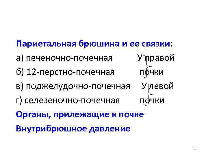 Париетальная брюшина и ее связки: а) печеночно-почечная У правой б) 12 -перстно-почечная почки в)