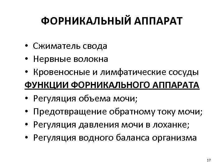 ФОРНИКАЛЬНЫЙ АППАРАТ • Сжиматель свода • Нервные волокна • Кровеносные и лимфатические сосуды ФУНКЦИИ