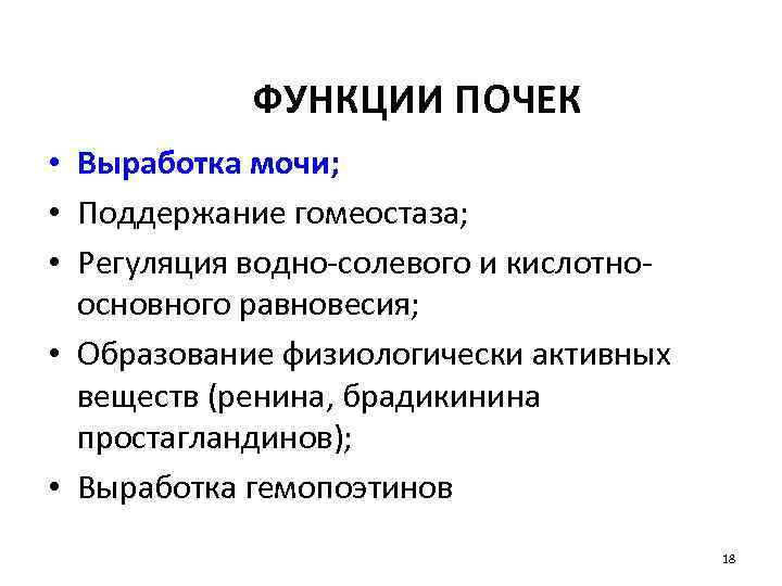 ФУНКЦИИ ПОЧЕК • Выработка мочи; • Поддержание гомеостаза; • Регуляция водно-солевого и кислотноосновного равновесия;