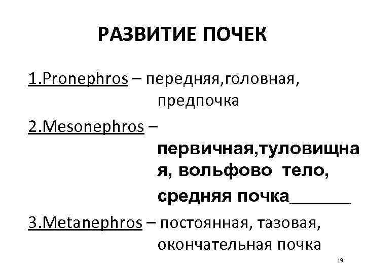 РАЗВИТИЕ ПОЧЕК 1. Pronephros – передняя, головная, предпочка 2. Mesonephros – первичная, туловищна я,