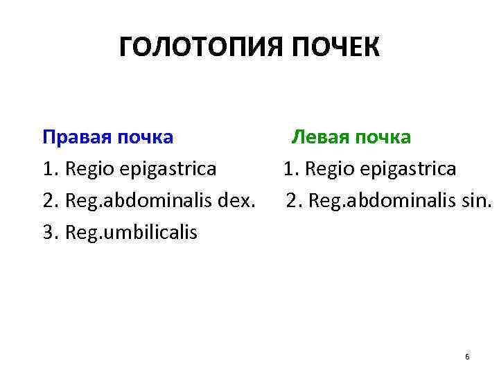 ГОЛОТОПИЯ ПОЧЕК Правая почка 1. Regio epigastrica 2. Reg. abdominalis dex. 3. Reg. umbilicalis