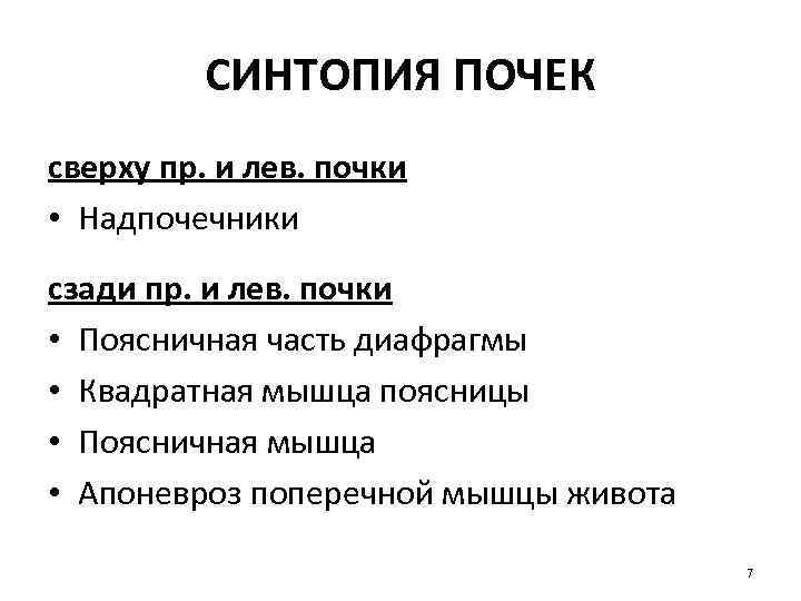 СИНТОПИЯ ПОЧЕК сверху пр. и лев. почки • Надпочечники сзади пр. и лев. почки