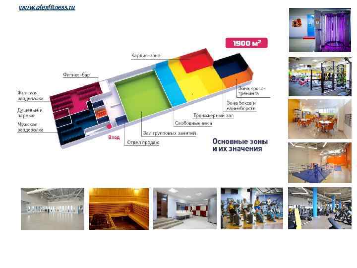 www. alexfitness. ru 