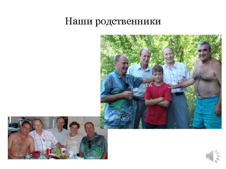 Наши родственники 