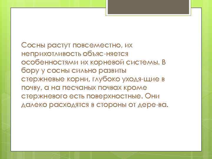 Сосны растут повсеместно, их неприхотливость объяс няется особенностями их корневой системы. В бору у